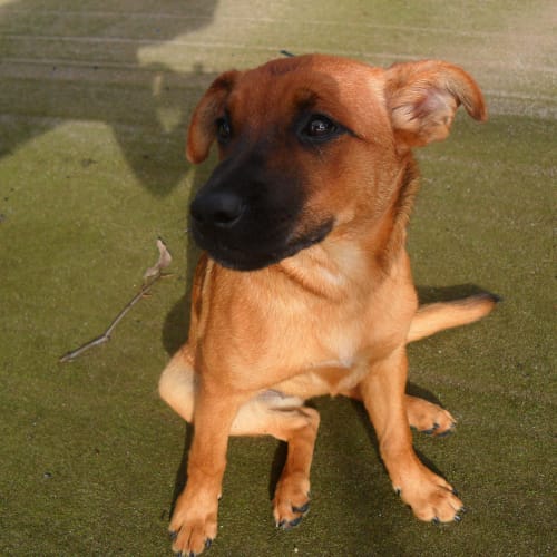 No photo for Holly * On Trial *