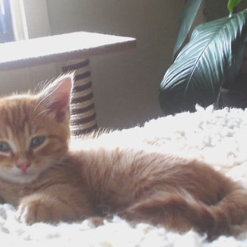 No photo for ** Harry