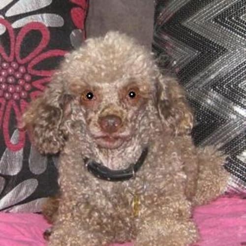 Barry