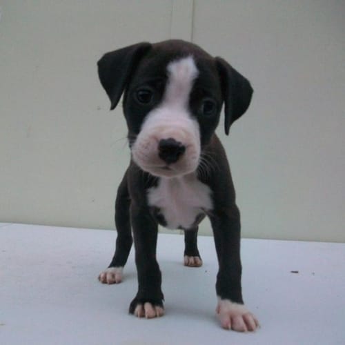 No photo for Junior Deposit Taken