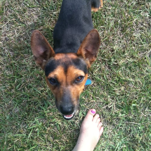 No photo for Beans On Trial