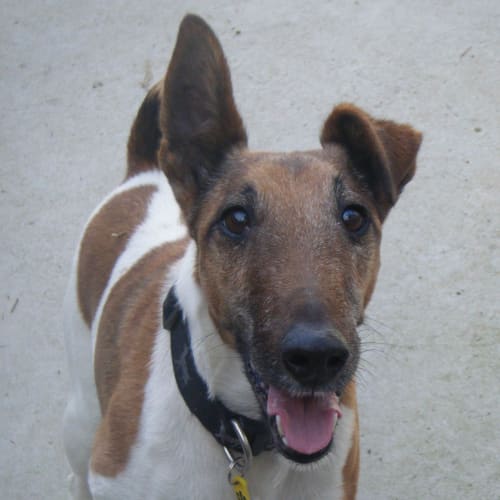 No photo for Charlie