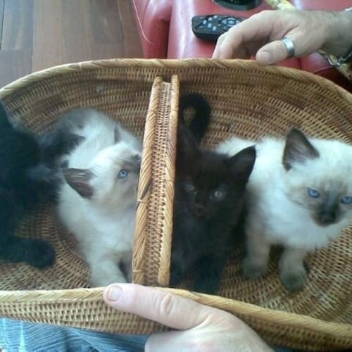 No photo for Kolby, Lacey, Gus And Chuck