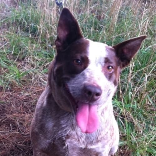 No photo for Stephanie