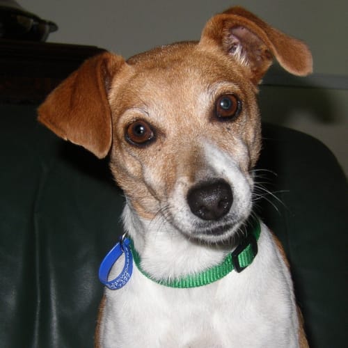 No photo for Mercy On Trial