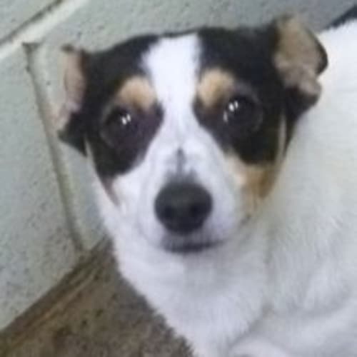 No photo for Homer 451424