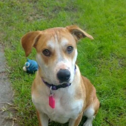 No photo for *On Trial* Jess  Sweetie Pie