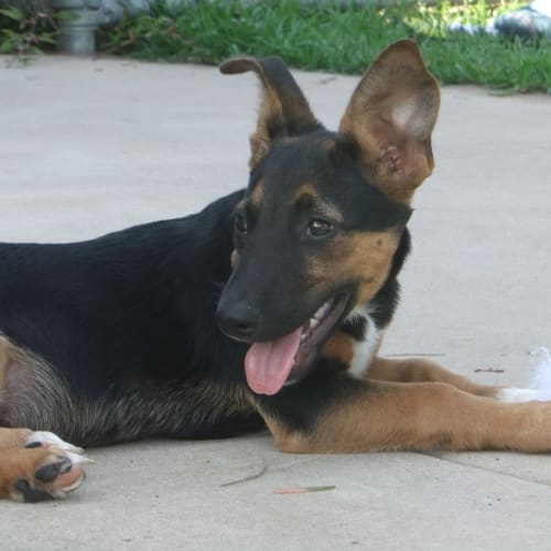 No photo for Mario(on Hold)