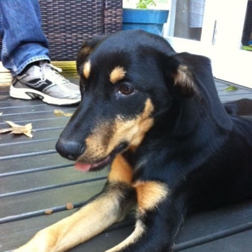 No photo for Kevin ** On Hold **