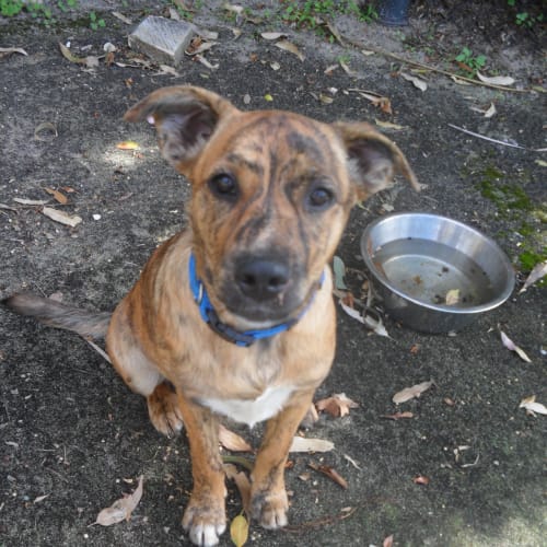 No photo for Grace * On Trial *