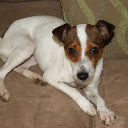 No photo for On Hold Nicki