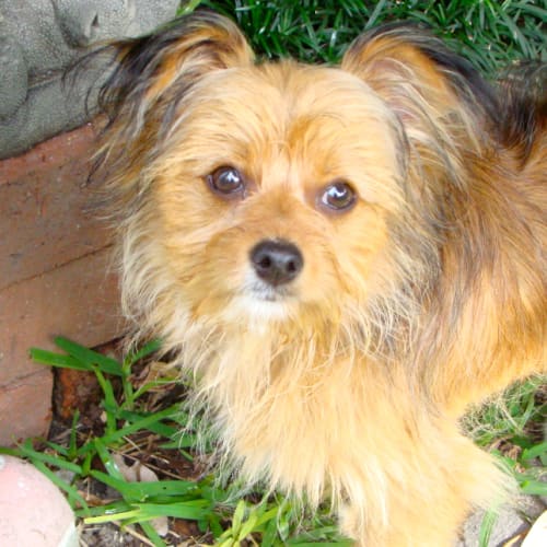 No photo for Teddy Bear