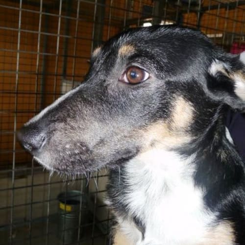 No photo for Bronson