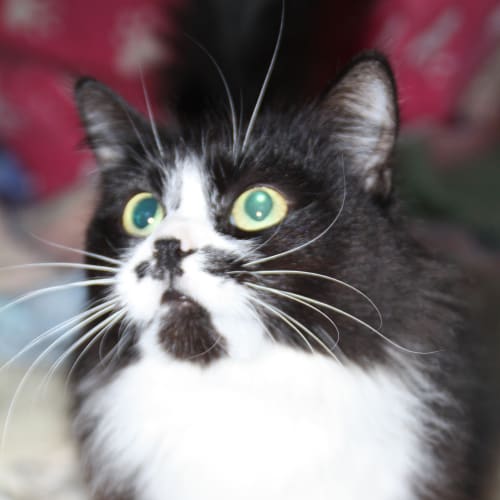 No photo for Jess ($60 For This Gorgeous Girl)