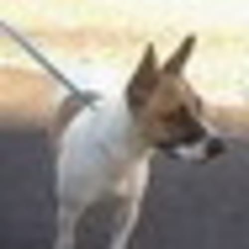 No photo for Urgent Foster Care Jill