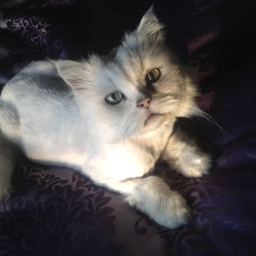 No photo for Charlie