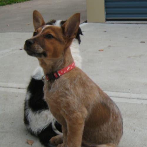 No photo for Heidi On Trial