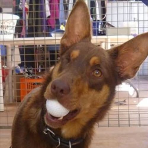 No photo for Ruby Rose