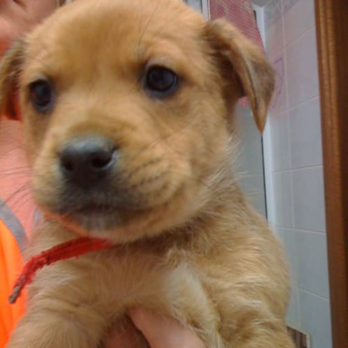 No photo for On Hold Hunta