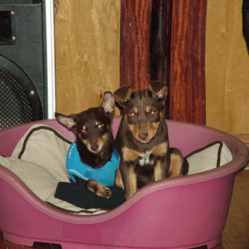 No photo for Jill   On Hold