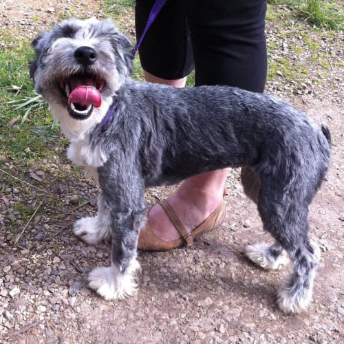 No photo for Lara (On Hold)