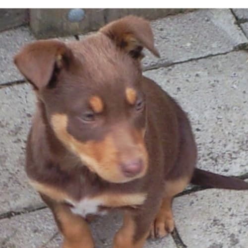 No photo for Jill   On Hold