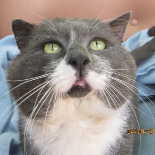 Gunther Hepworth-Jones