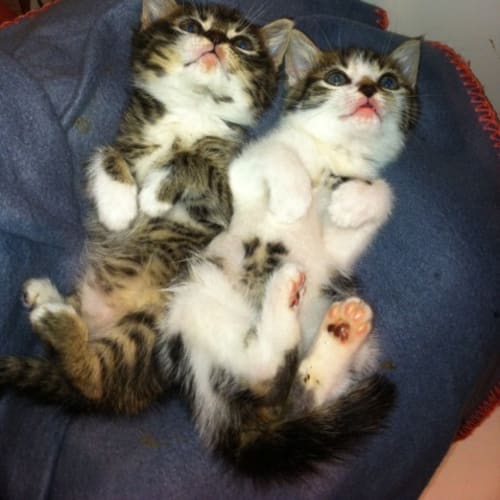 No photo for Bailey & Alvin