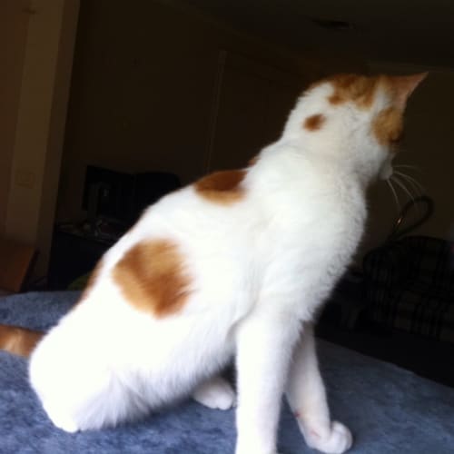 Nemo - On Trial in His New Home!