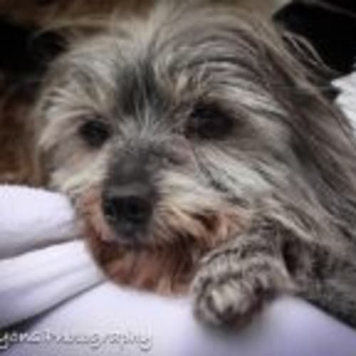 Gerald "Is Trialing A New Home"