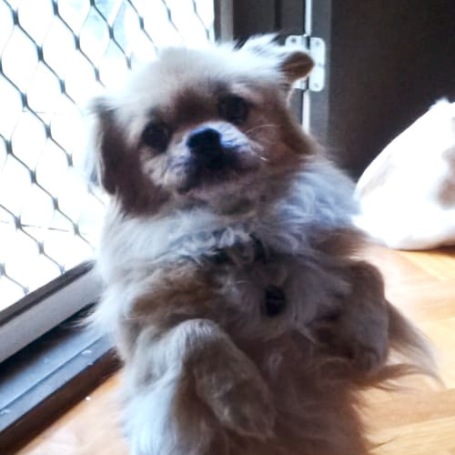 No photo for Lucky
