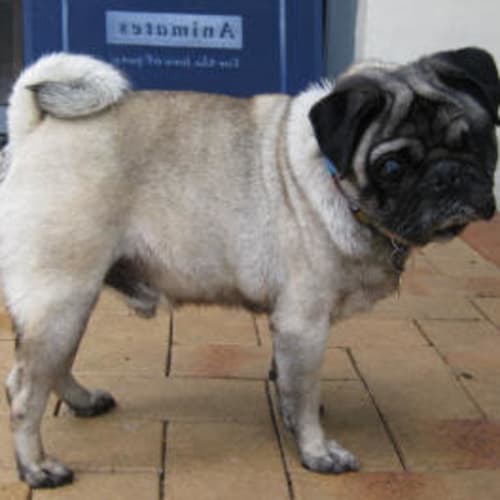 No photo for Stanley