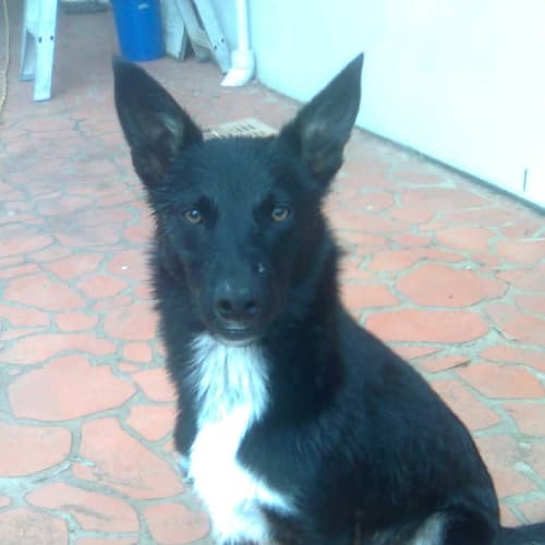 No photo for Busta Scrubs