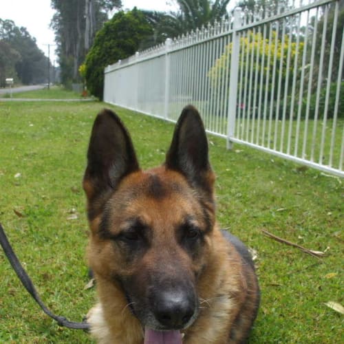 No photo for Zeus On Trial With His New Family