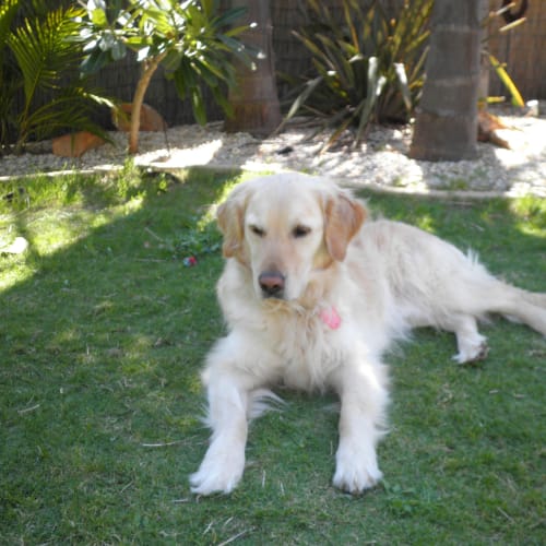 No photo for **On Trial With My New Family** Max