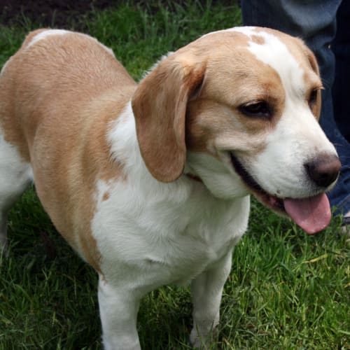 No photo for Millie (On Trial With A New Family)