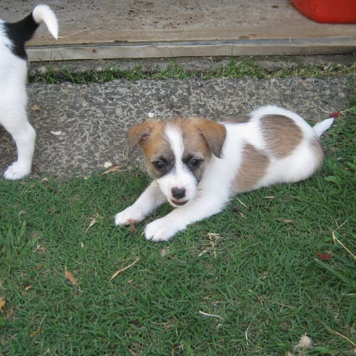 No photo for Molly (On Trial With Her New Family)