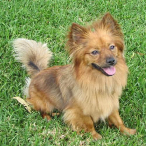 No photo for Tequila