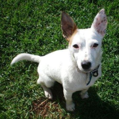 No photo for Logan *On Trial*