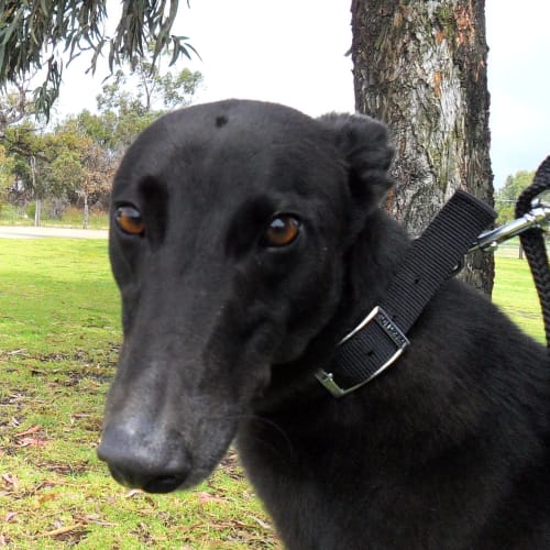 No photo for Michael