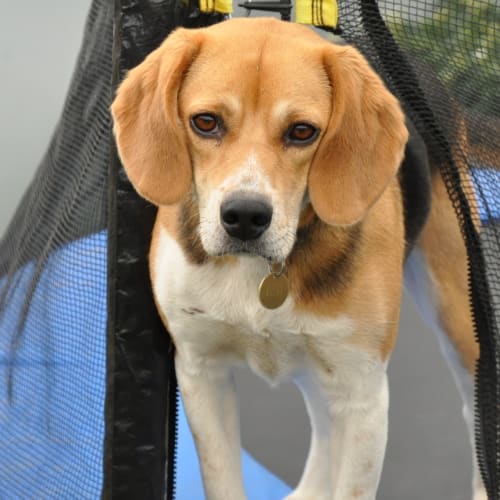 No photo for Millie (On Trial With A New Family)