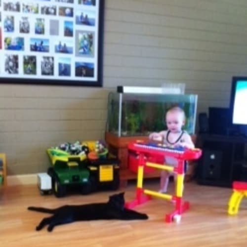 No photo for Sinatra (C1705)