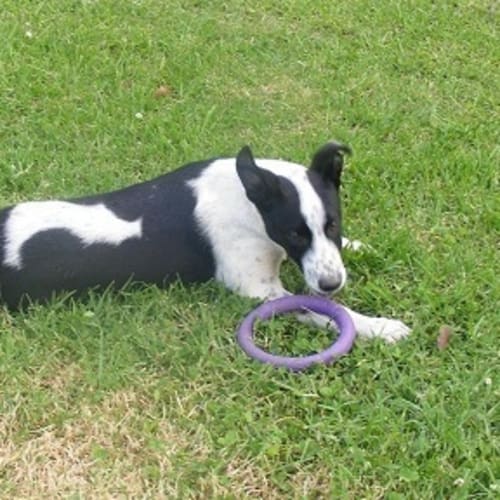 No photo for Jake   On Trial