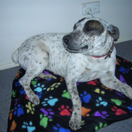 No photo for Miss Amy