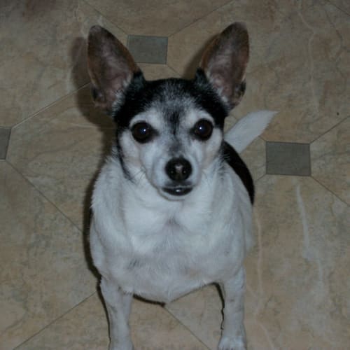 No photo for Max(on Trial)