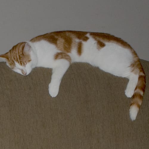 No photo for Artie