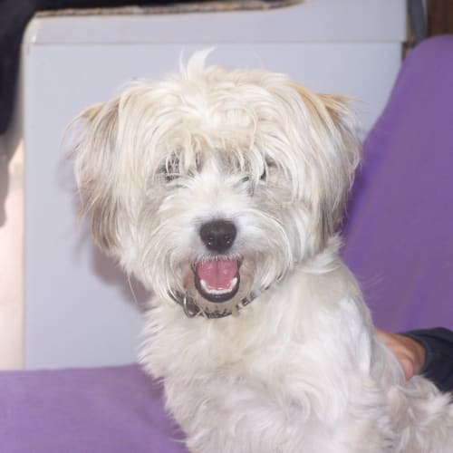 No photo for Dennis  Av339 In The Shelter