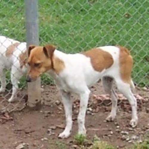 No photo for Curtis  On Hold