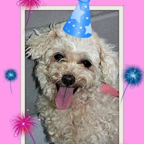 No photo for Matilda