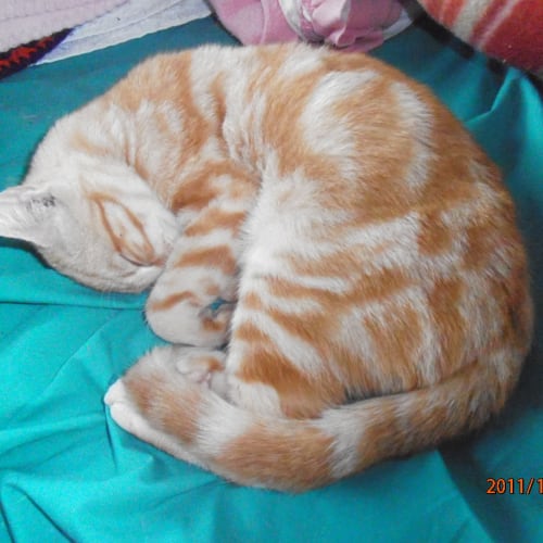 George